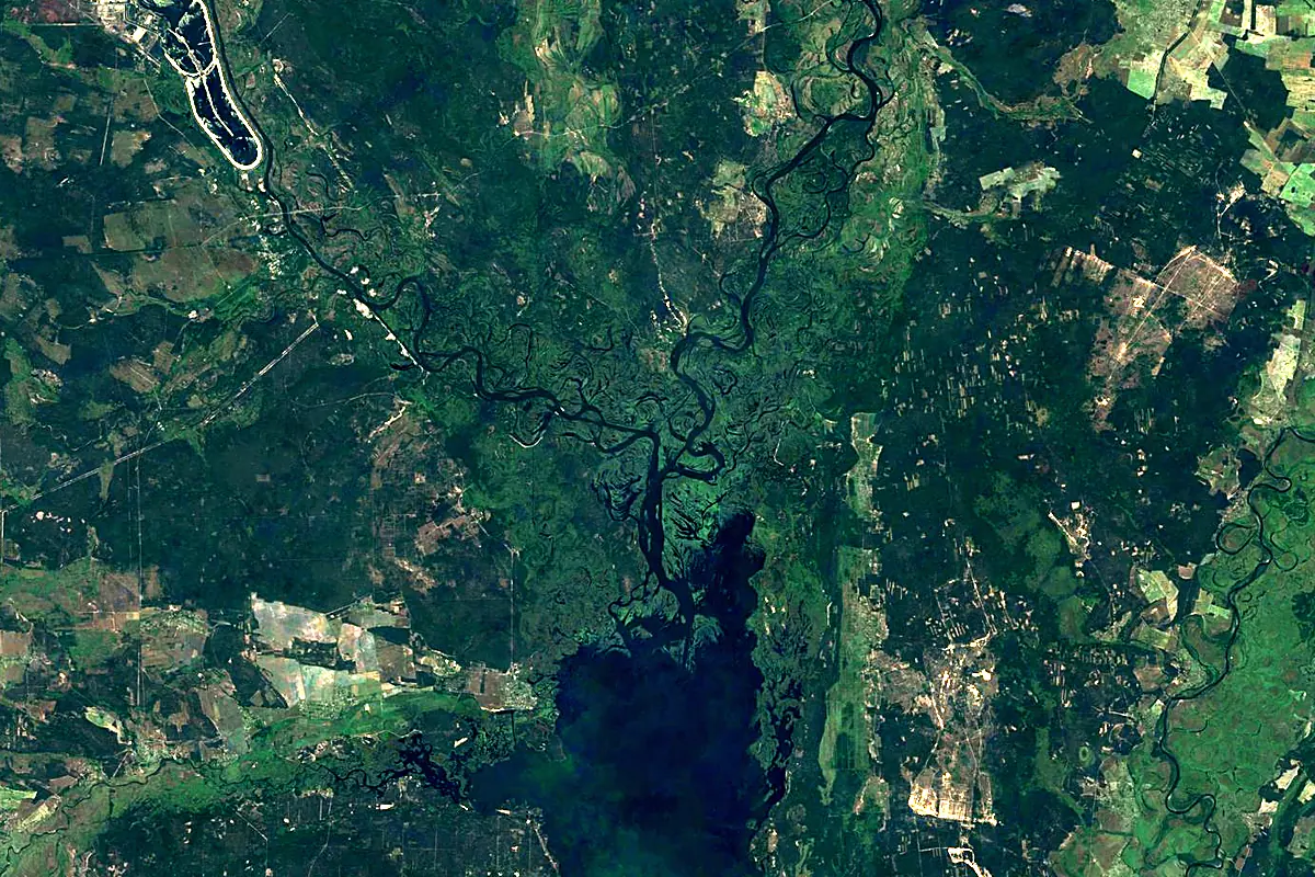 Pripyat River: satellite view of the mouth