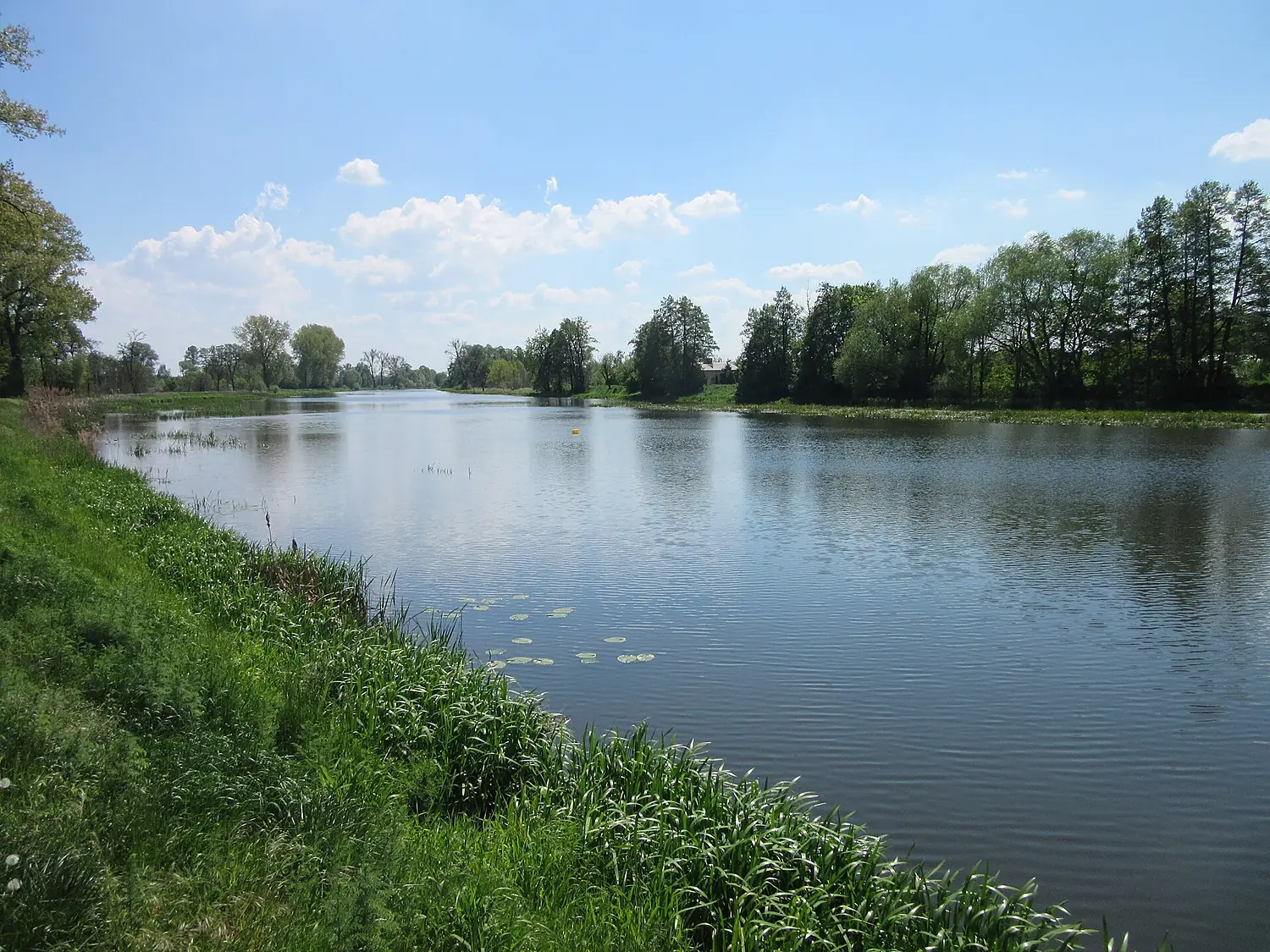 Kalisz Prosna (1)