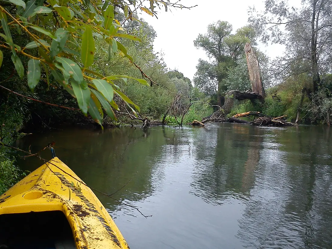 Kayaking Prosna river from Grabow nP to Olobok (10)