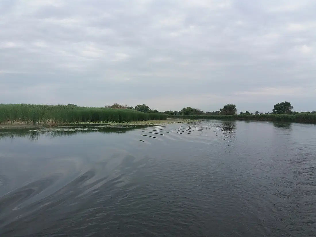 Mouth of Psel (2019-06-23) 02