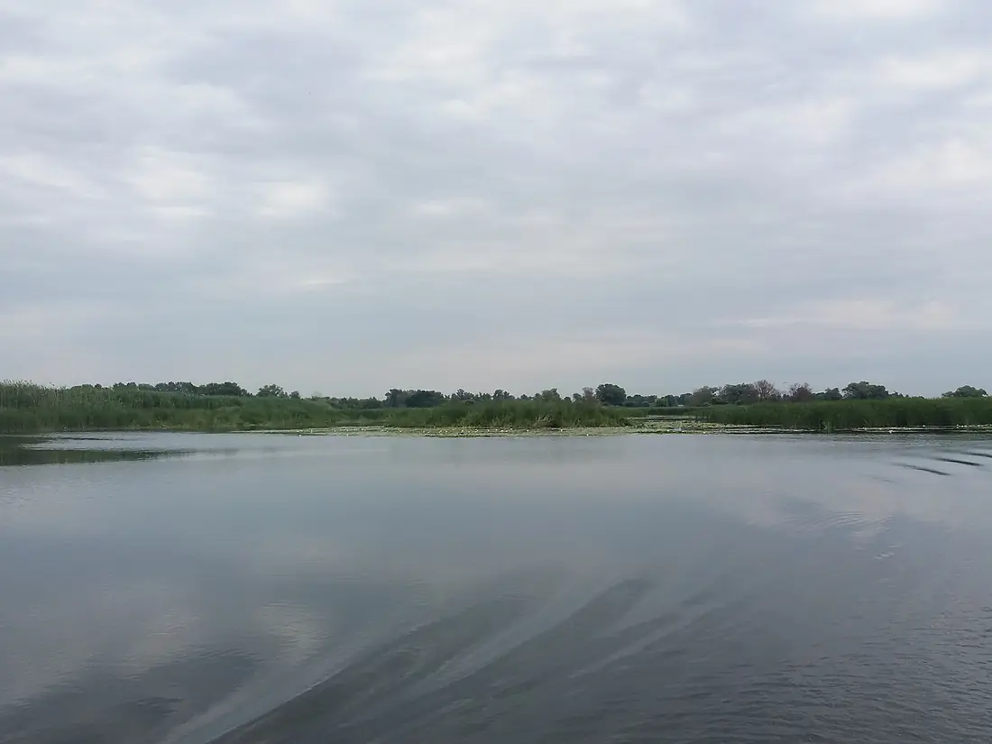Mouth of Psel (2019-06-23) 04
