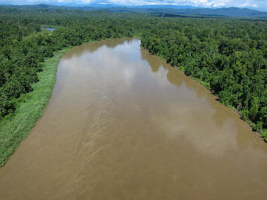 Purari river