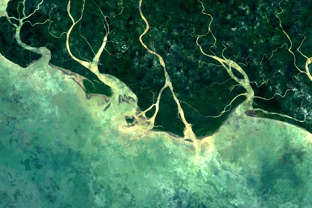 Purari River: satellite view of the mouth