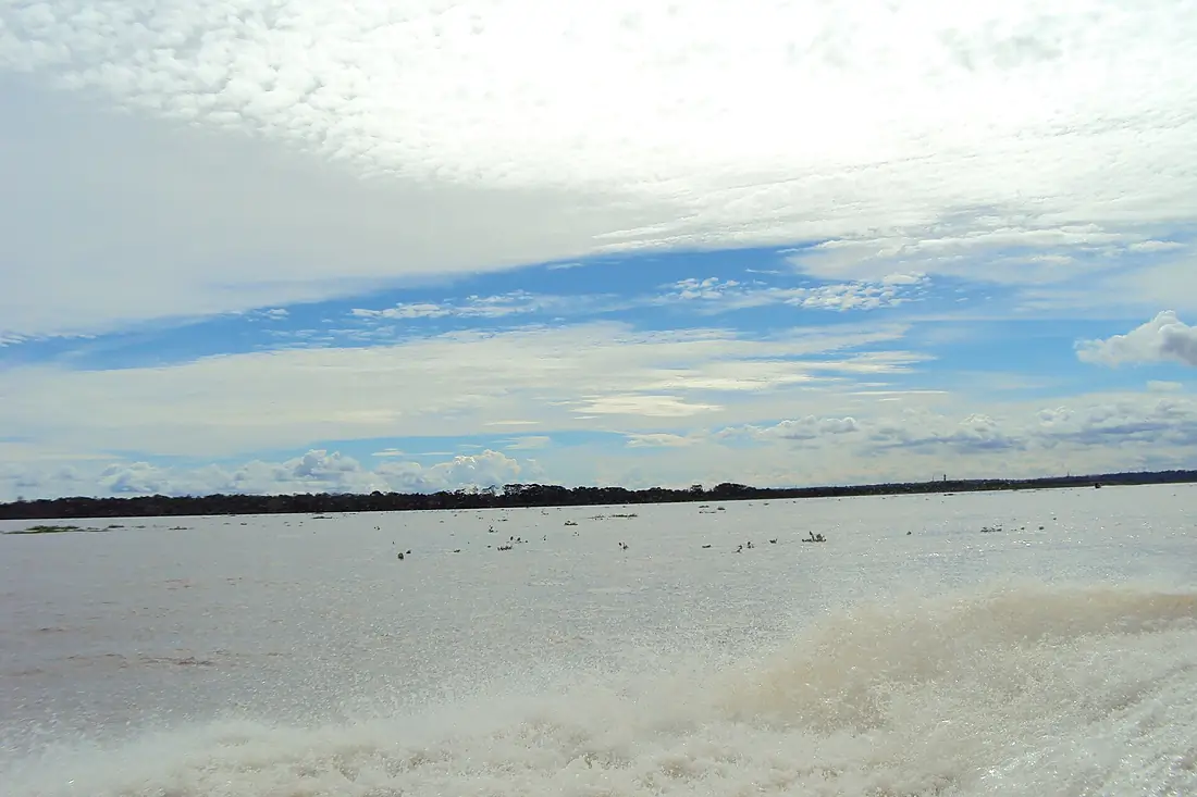 Exotic amazon purus river - panoramio