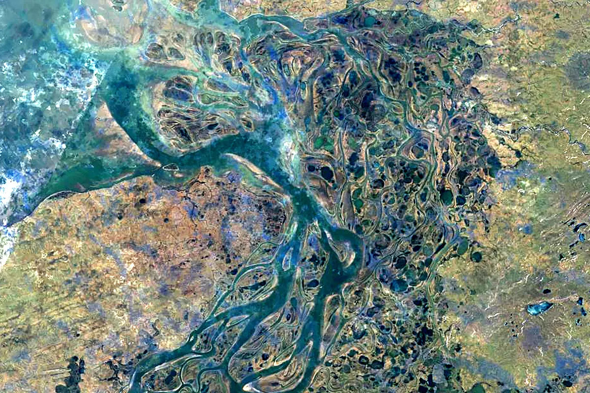 Pyasina: satellite view of the mouth