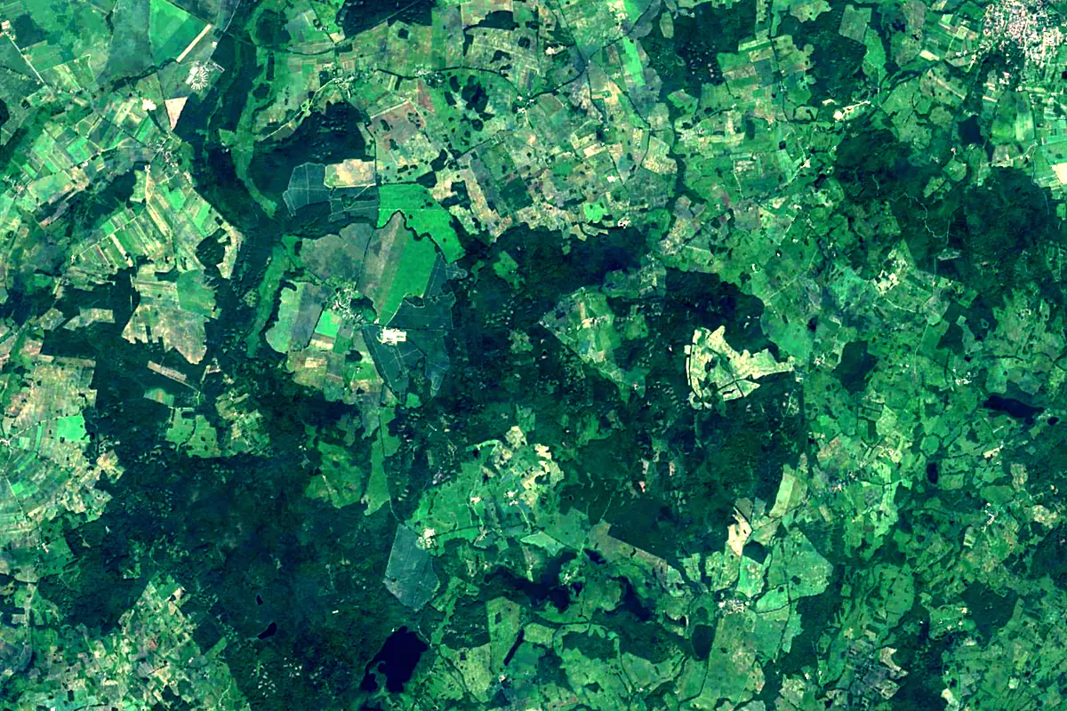 Rega: satellite view of the source