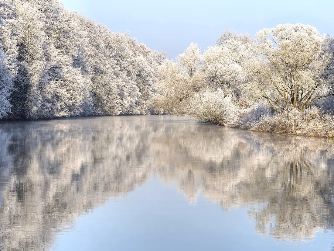 Winter-Regnitz-Bruderwald PC310003
