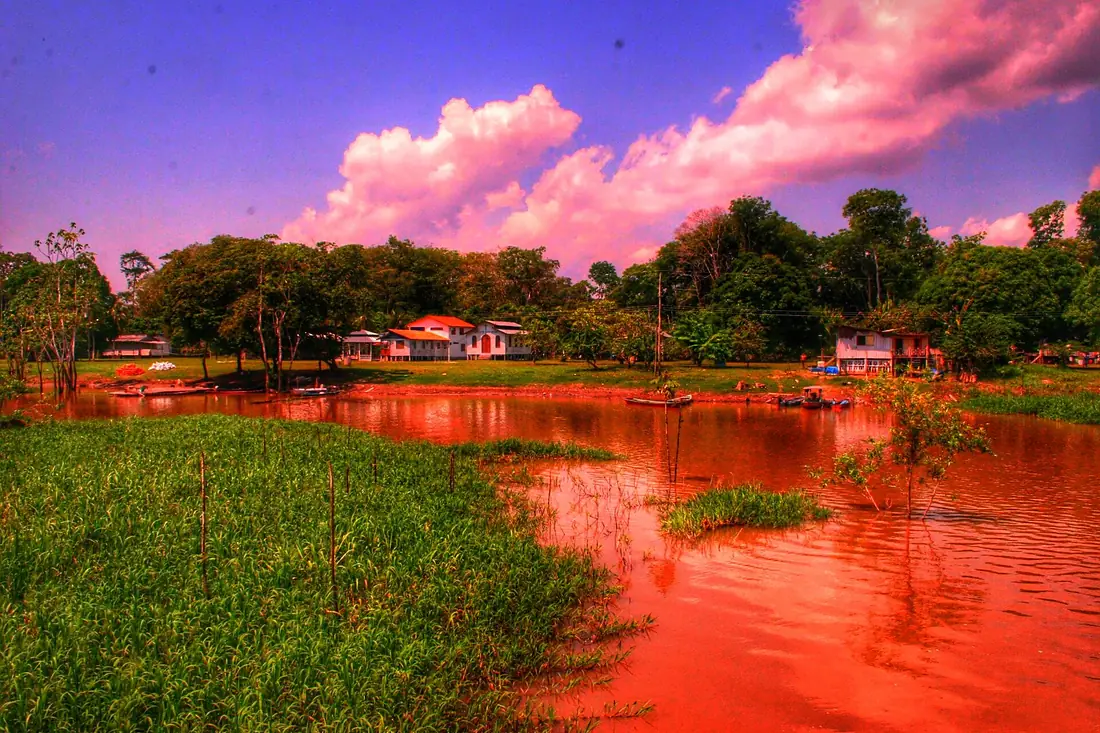 Amazon rainforest boat - panoramio
