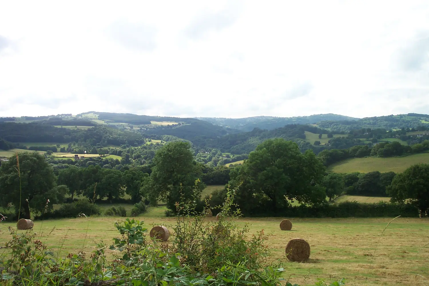Derwent Valley upstream of Whatstandwell