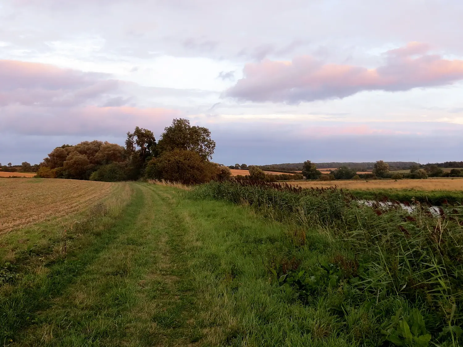Beside the River Nene - August 2013 - panoramio