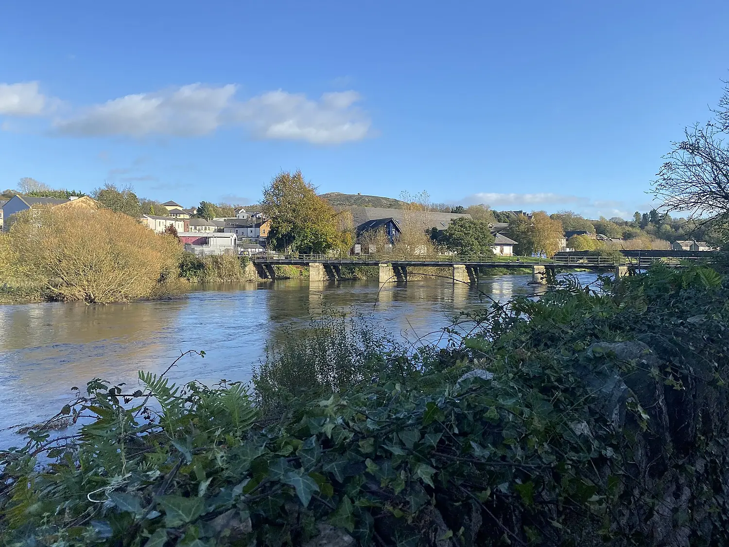 River Slaney