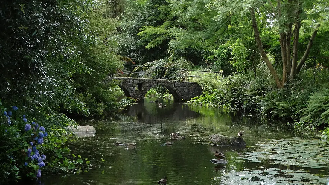 River Slaney at Altamont