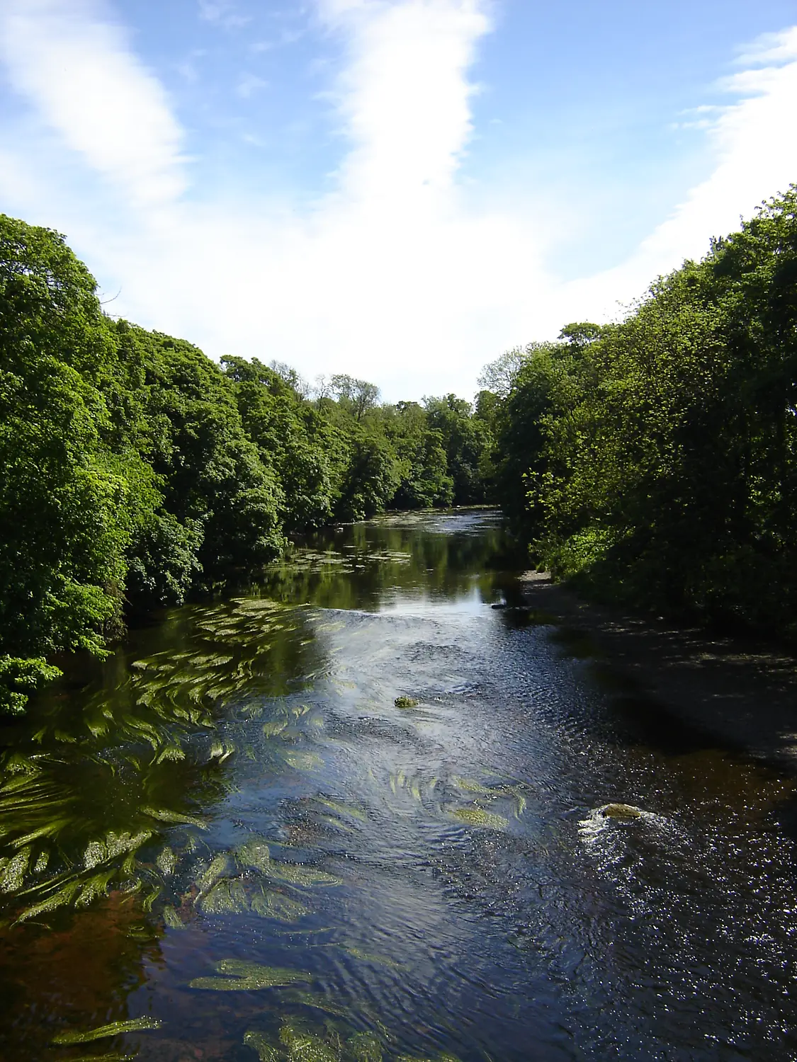 River Tees, Low Dinsdale