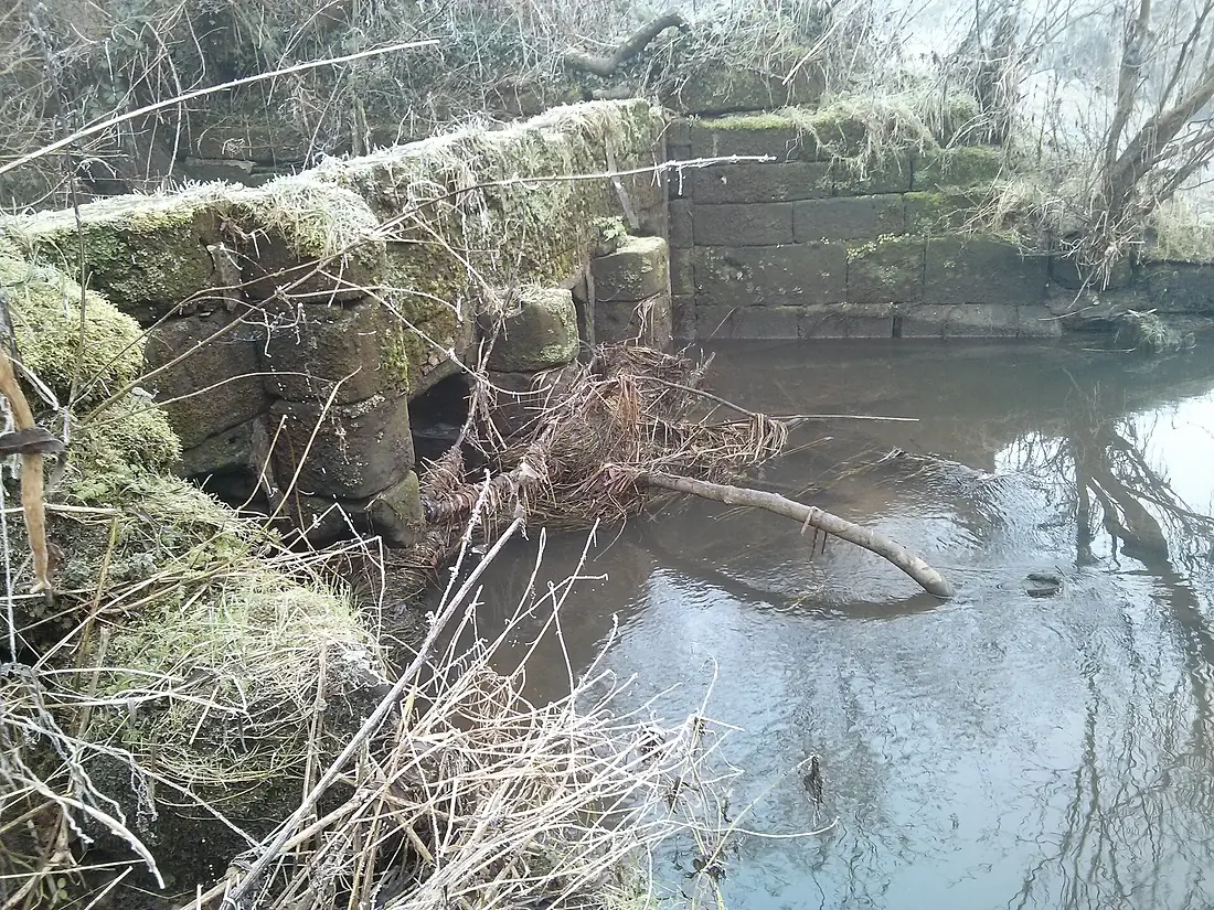 Eel trap River Trent