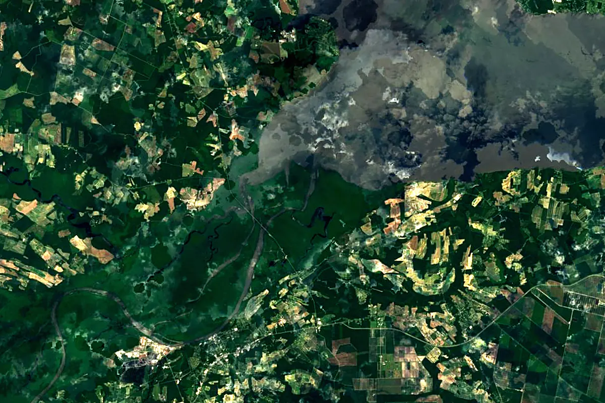 Roanoke River: satellite view of the mouth