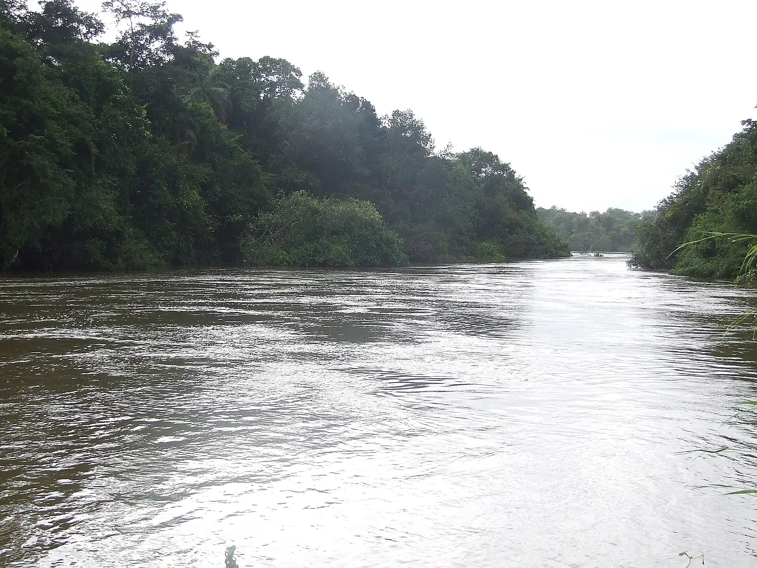 Rokel River (6773682040)