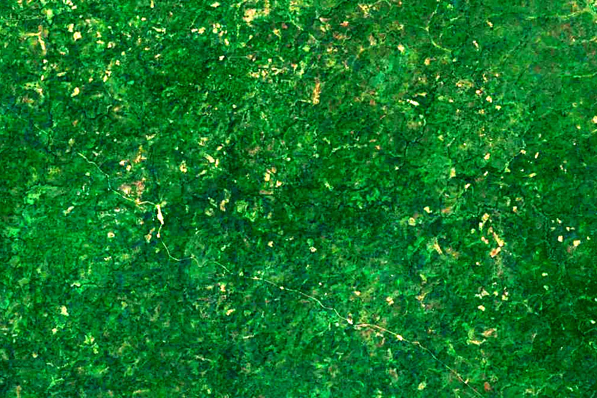 Rokel River: satellite view of the source