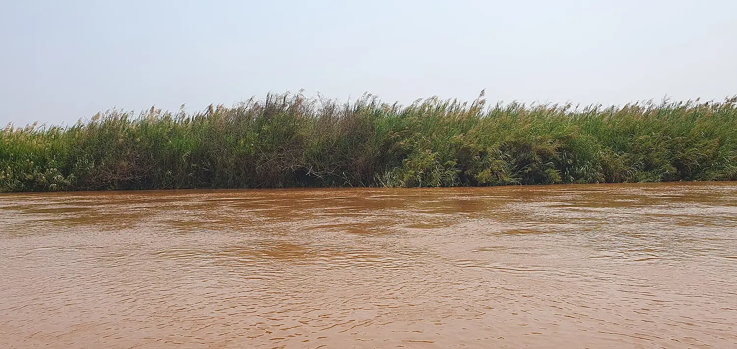 La Rivière du parc national rusizi