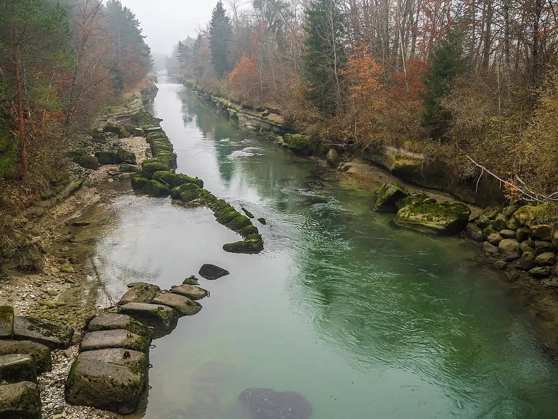 Die Saane, Kleinbösingen FR – Bösingen FR 20211112-jag9889