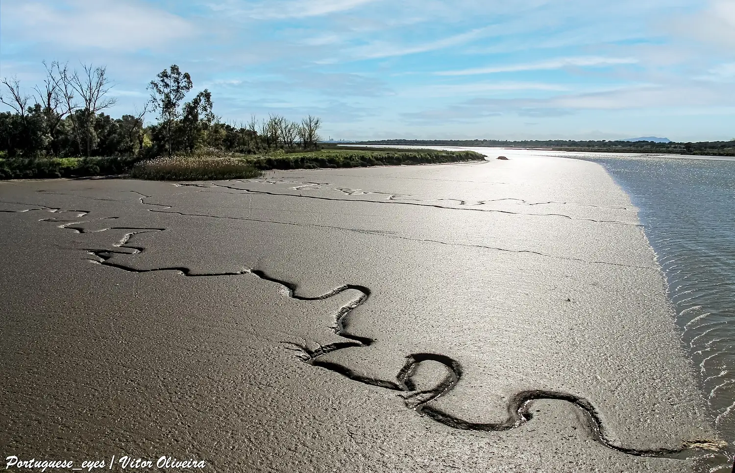 Estuário do Sado - Portugal (51080398723)