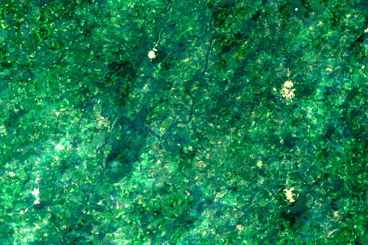 Saint Paul River: satellite view of the source