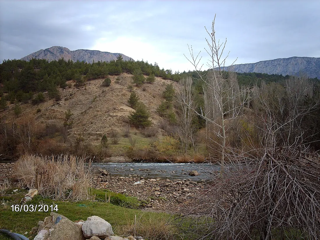 SAKARYA NEHRİ GEÇİYOR ALT MİYOSEN OLİGOSEN OLUŞUM - panoramio