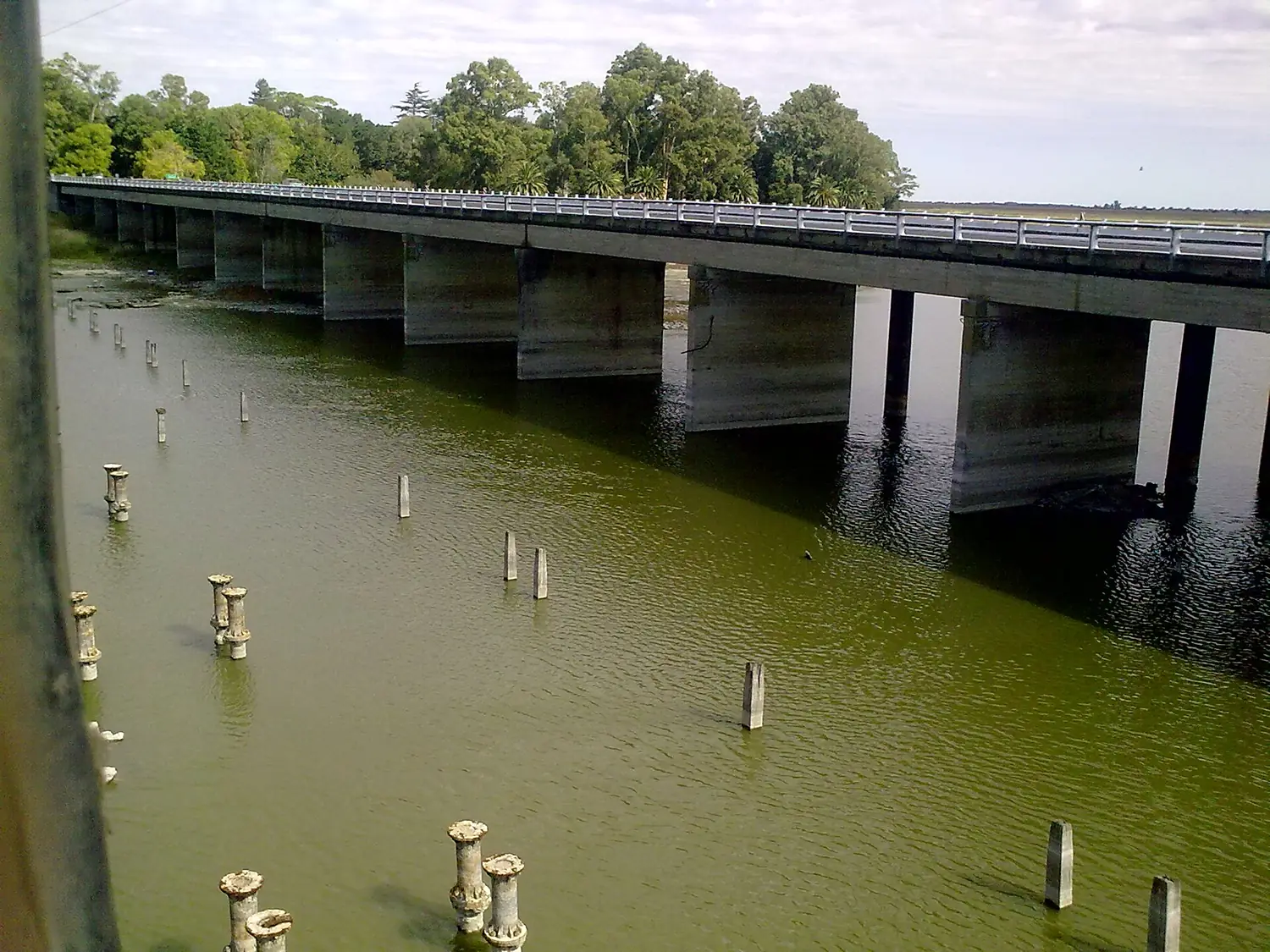 Rio salado, y puente de la autovía 2 - panoramio