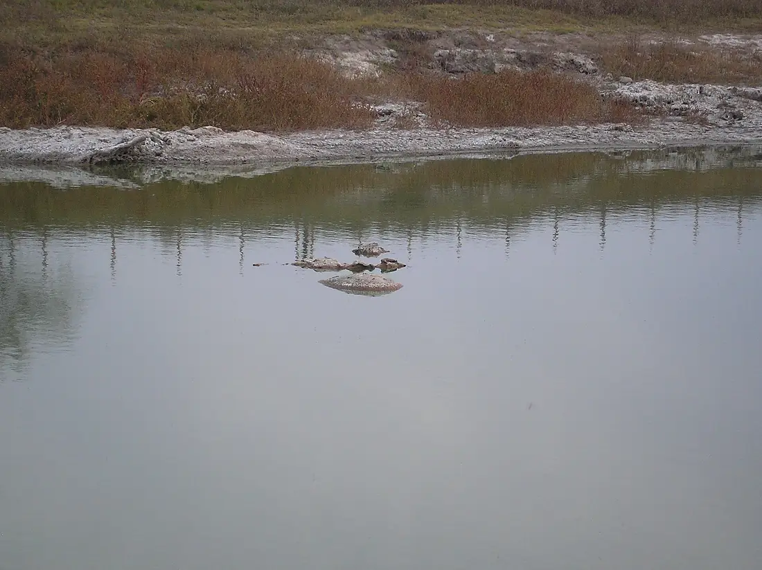 Río Salado Roque Perez
