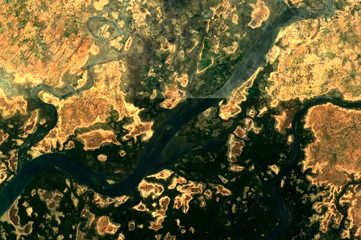Saloum River: satellite view of the mouth