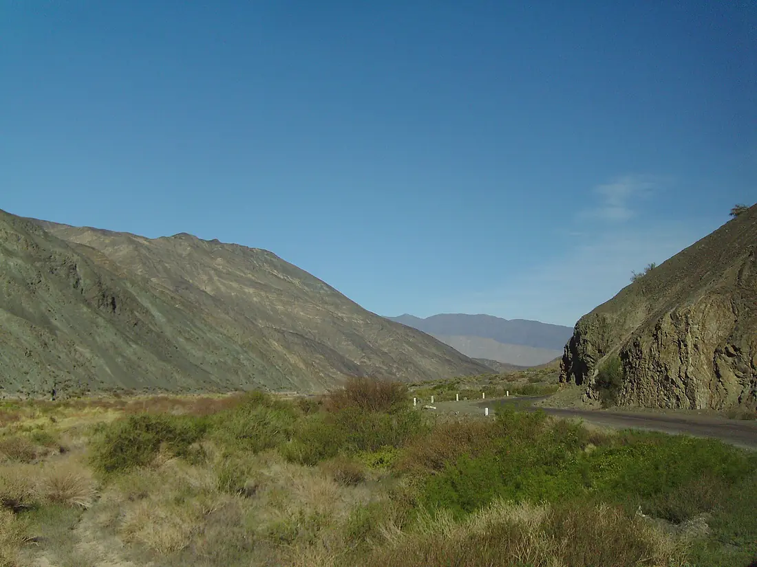 Calingasta Department, San Juan Province, Argentina - panoramio (2)