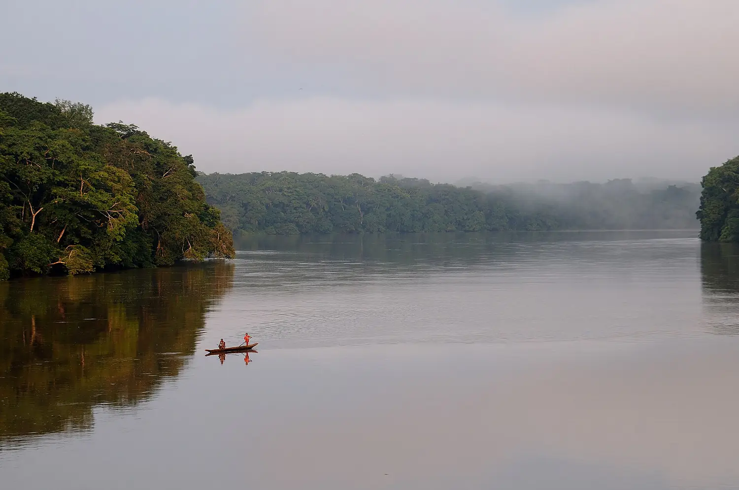Morning mist over the Sangha River near Bayanga