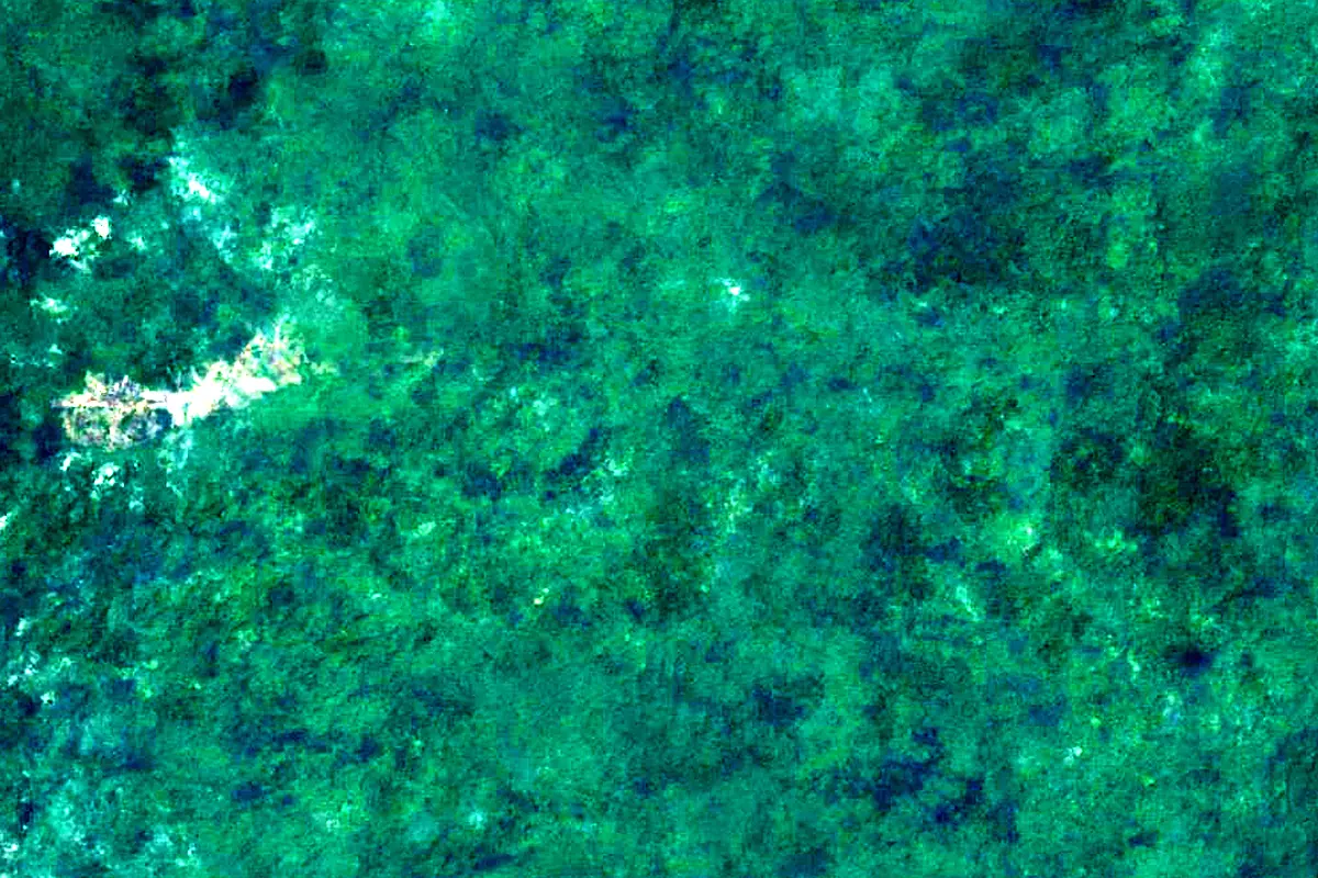 Saramacca River: satellite view of the source