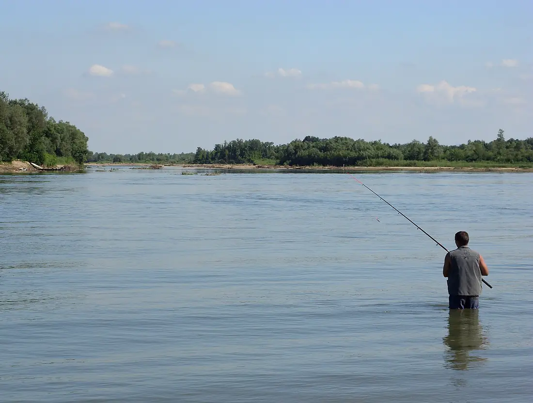 Sava Drina Confluence