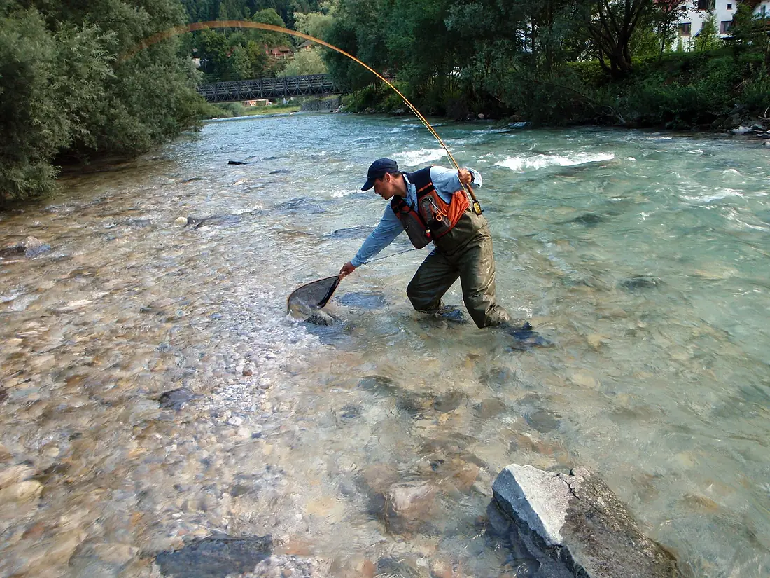 Fly fishing in Savinja 2010