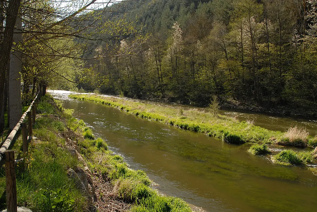 01 El Segre, aigües avall d'Isòvol