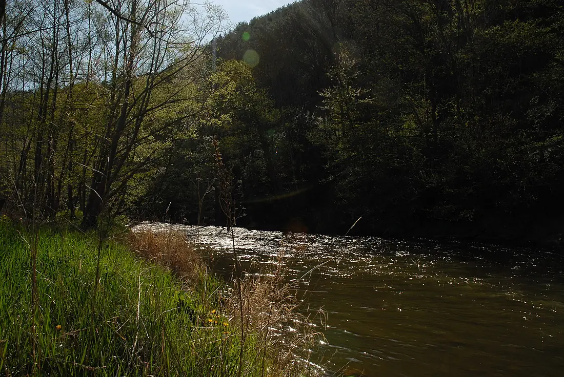 02 El Segre, aigües avall d'Isòvol