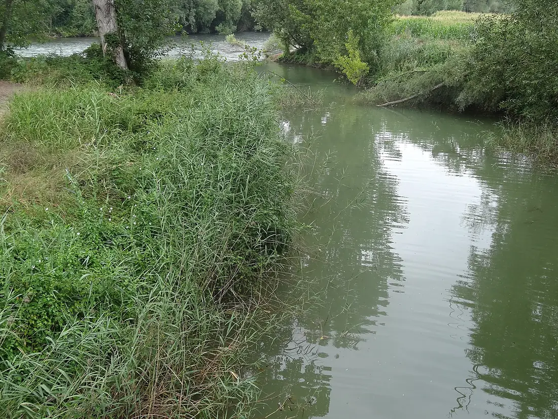 Confluència del Llobregós amb el Segre