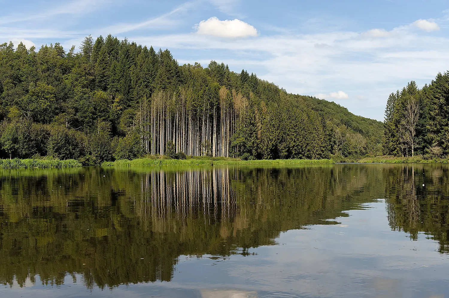 Semois river (DSC 8407)