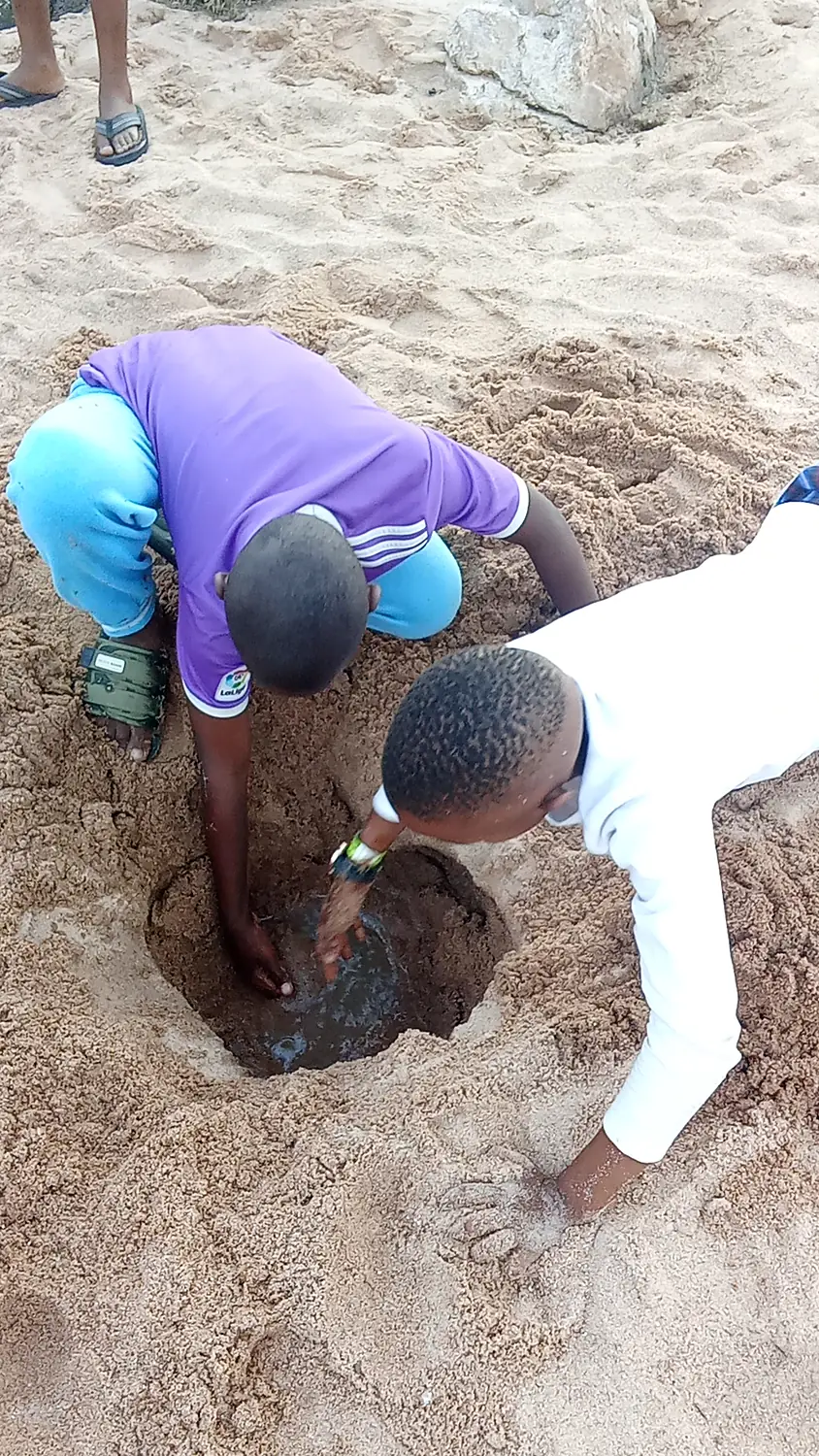 Kids digging for water in a dry Shashe river
