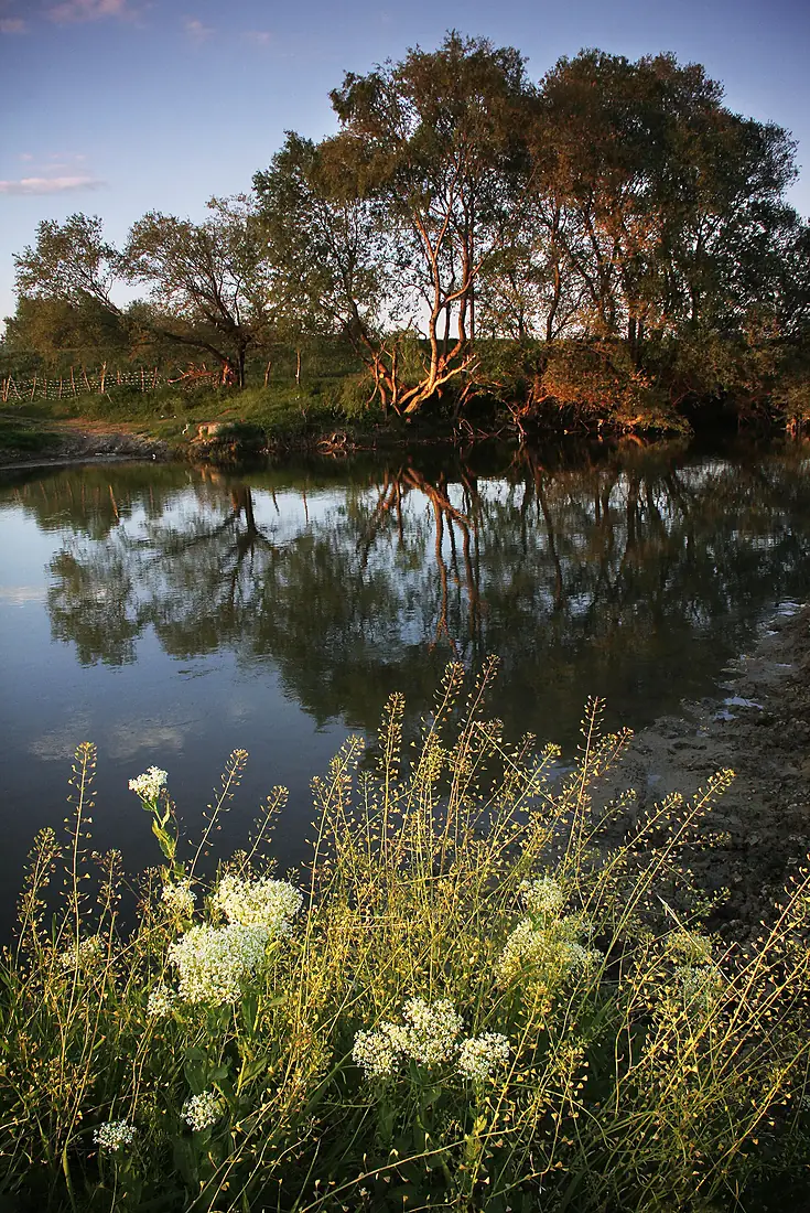 A view from Sitnica river