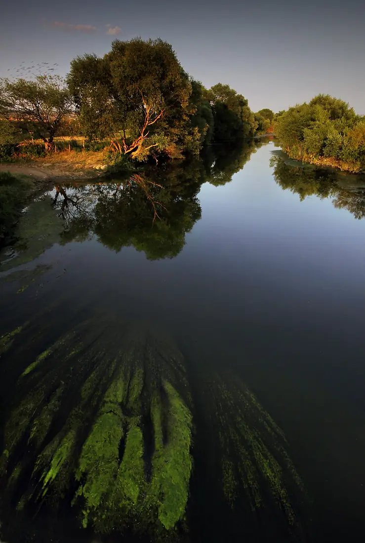 Sitnica river from the bridge