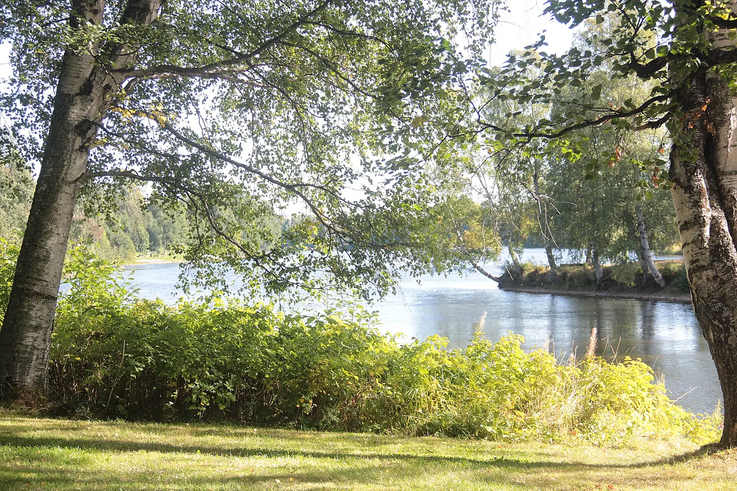 SkellefteåRiver