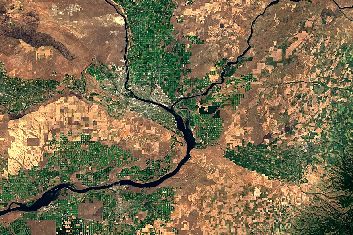 Snake River: satellite view of the mouth
