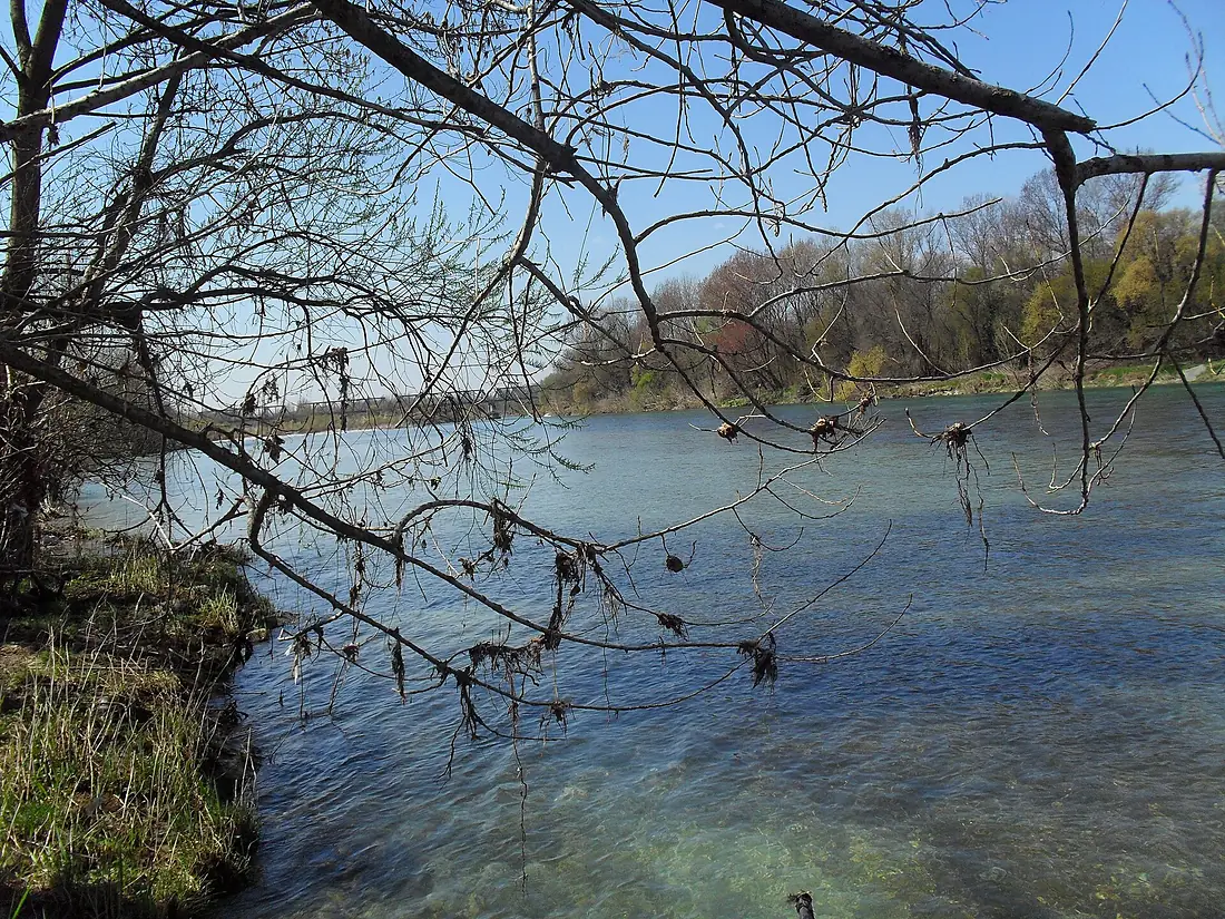 FIUME ISONZO MARZO 2010 - panoramio