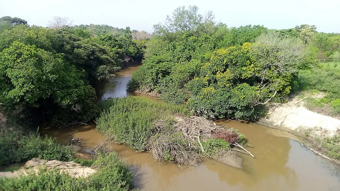 Découvrez la Sota et sa magnifique forêts classé en image