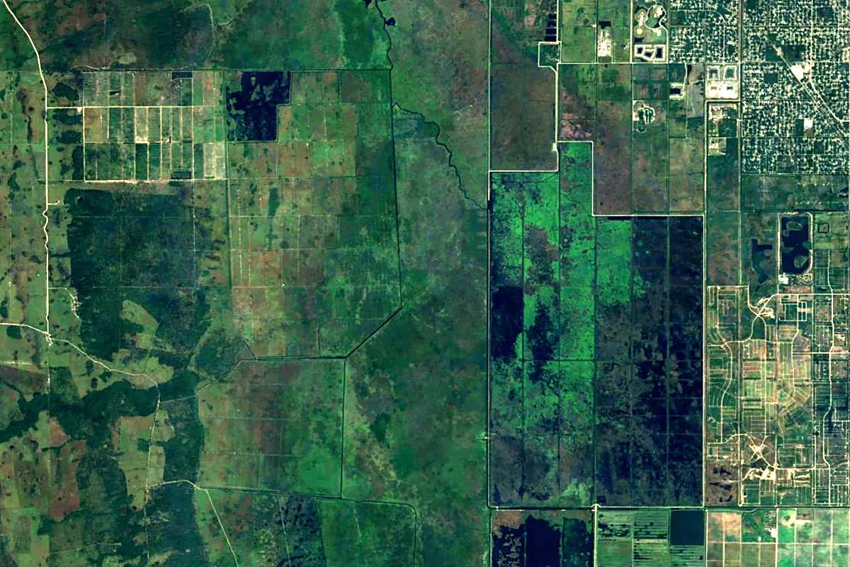 St. Johns River: satellite view of the source
