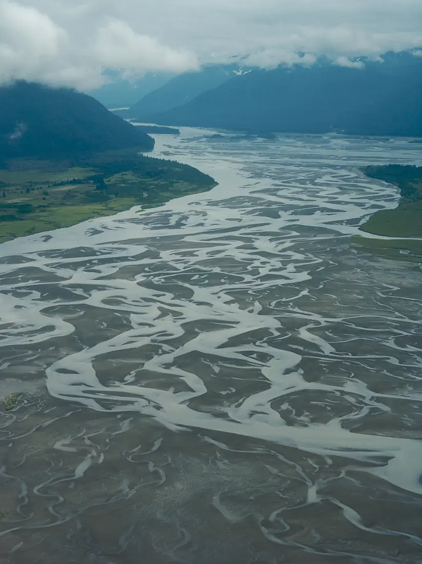 Stikine Delta