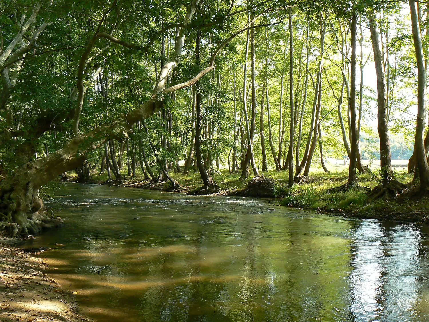 Strumeshnitsa-river-2
