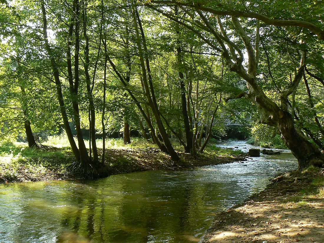 Strumeshnitsa-river-1