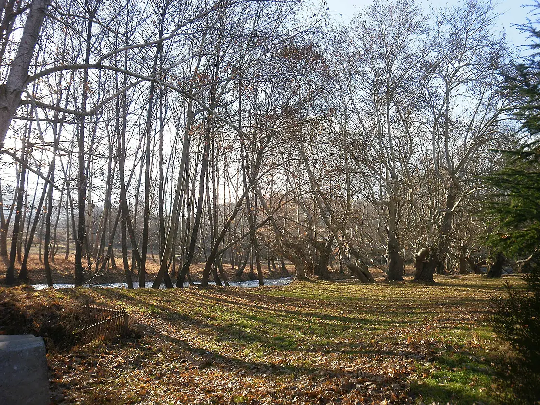 Strumeshnitsa river 2011, 01